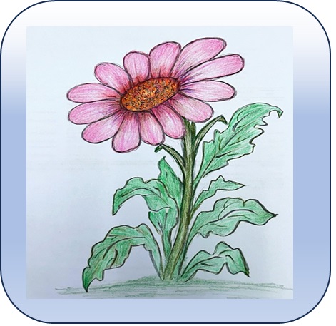 https://yoursecretnatures.com/storage/files/products/../products/Flower-04a.jpg