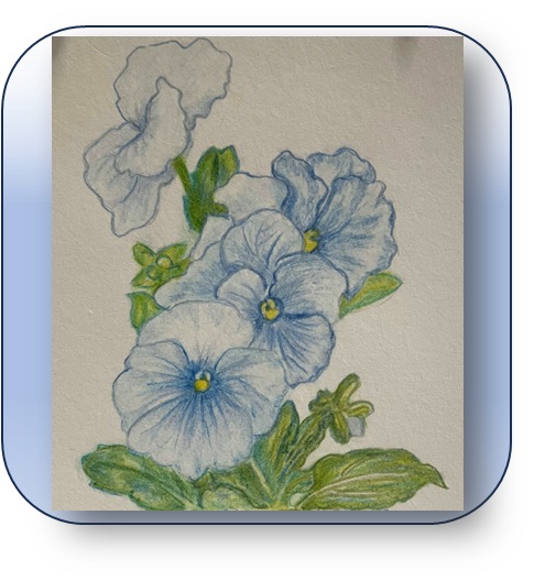 https://yoursecretnatures.com/storage/files/products/../products/Flower-13.jpg