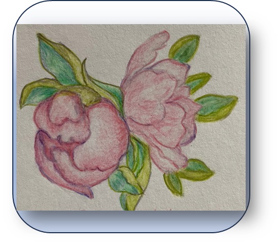 https://yoursecretnatures.com/storage/files/products/../products/Flower-14.jpg